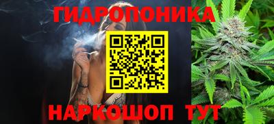 сатива Бузулук